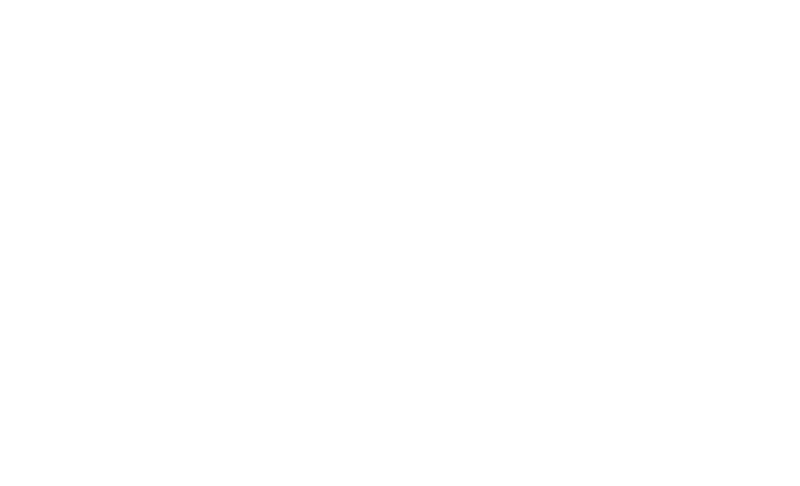 Vitalix Prime
